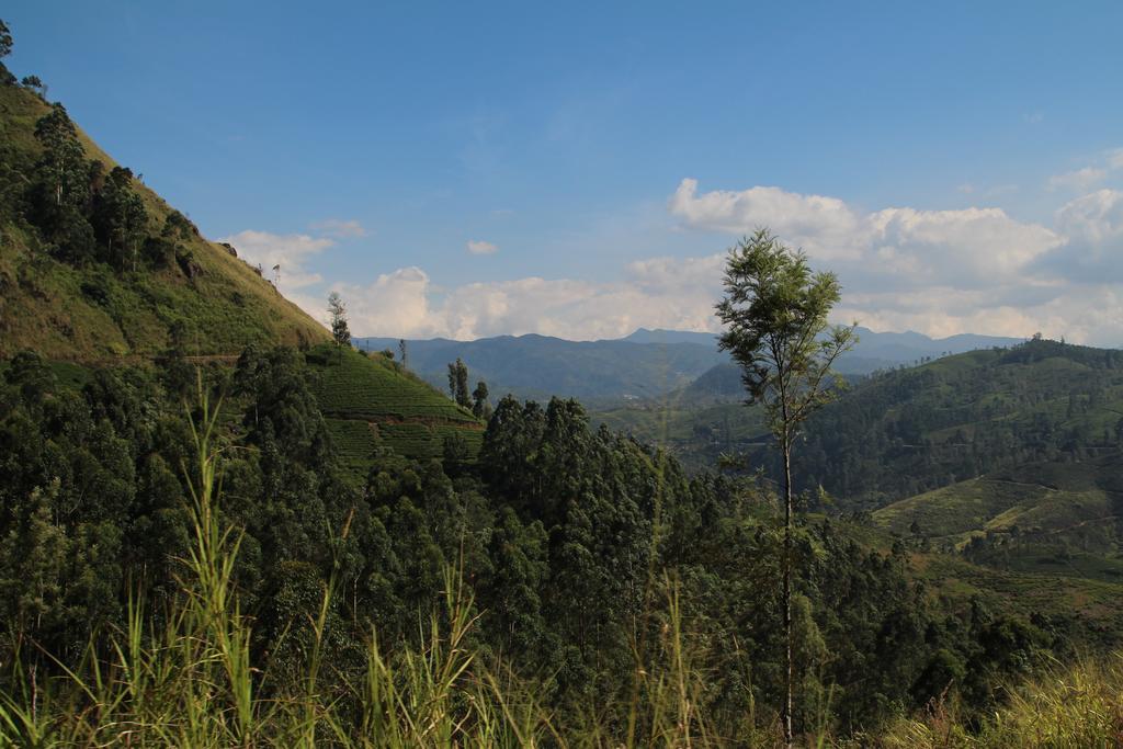 Cool Mount Guest Apartment Nuwara Eliya Exterior photo